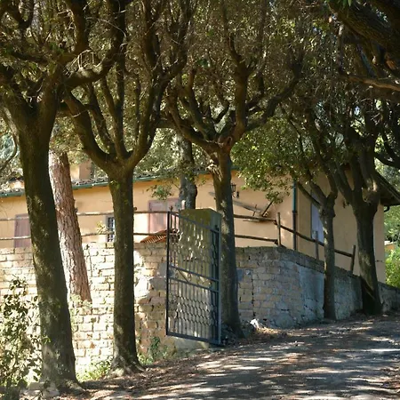 Montecchio