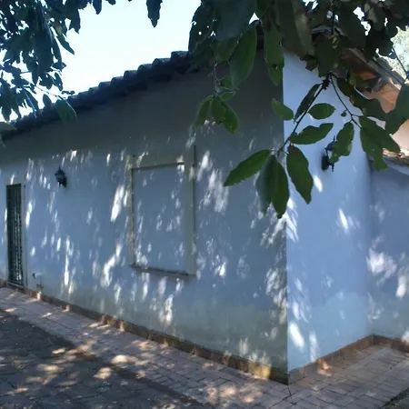Holiday home Montecchio