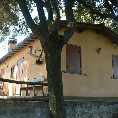 Montecchio *